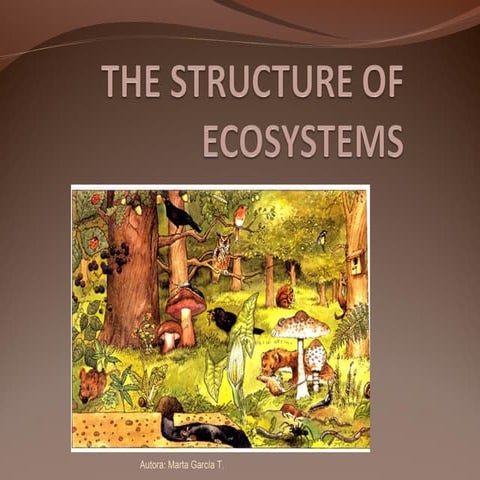 Thestructureofecosystems 
