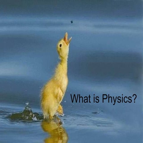 The study of physics