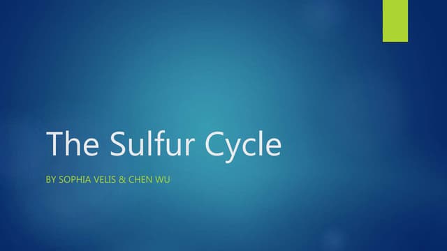 The sulfur cycle PERIOD 3