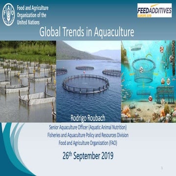 The Sustainable Aquaculture Guidelines.pptx