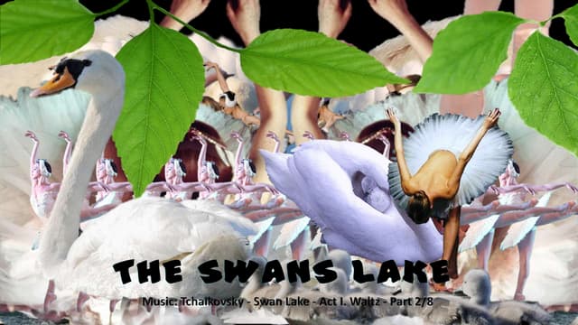 The swans lake (slideshare)