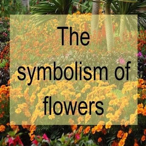 The symbolism of flowers | PPT