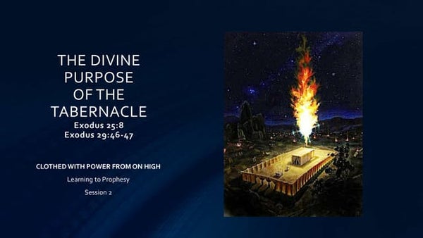 29 Summary Of Exodus Chapter 2 JuniorMirissa the-book-of-exodus-summarized-a-summary-of-exodus-from-the-bible