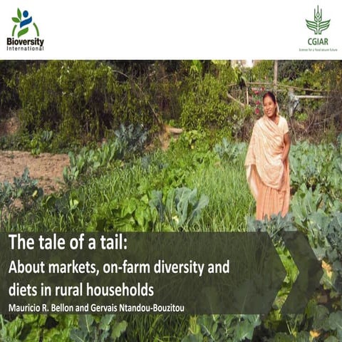 The tale of the tail about markets, on-farm diversity and diets in rural hous...
