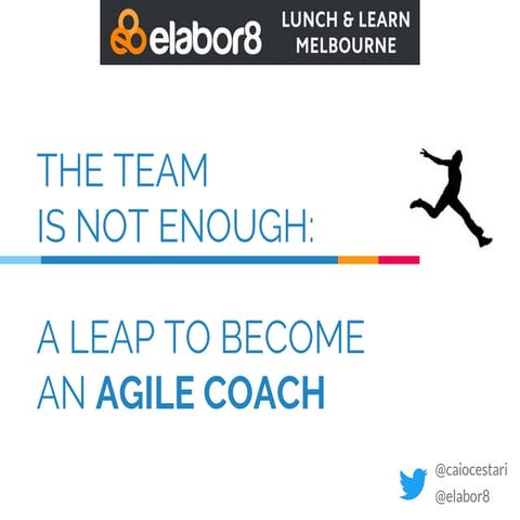 The team is not enough: a leap to become an Agile Coach