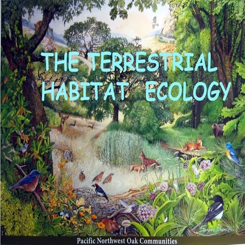 The terrestrial habitat