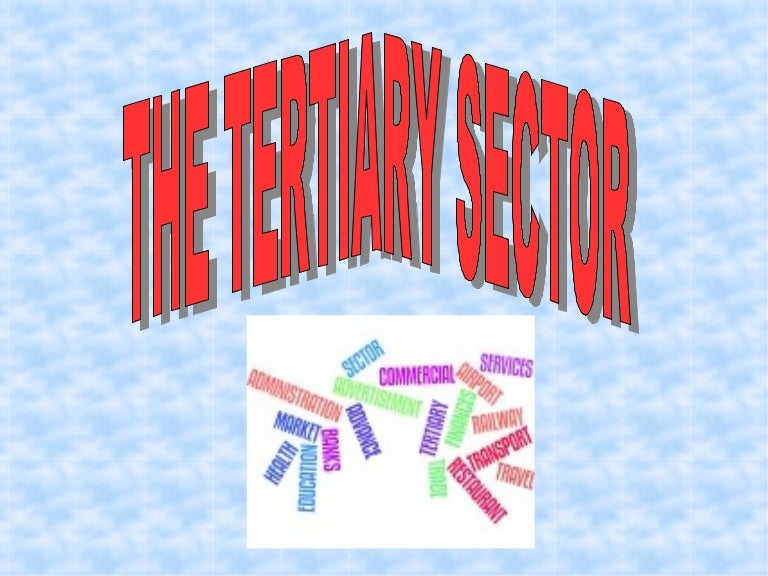 The tertiary sector