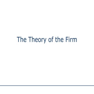 The Theory Of The Firm