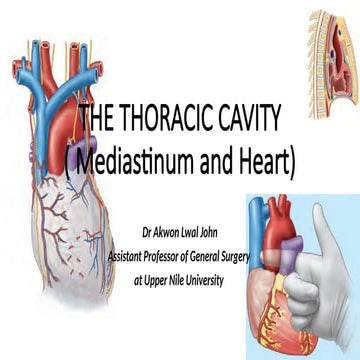 Radiological anatomy of mediastinum | PPTX