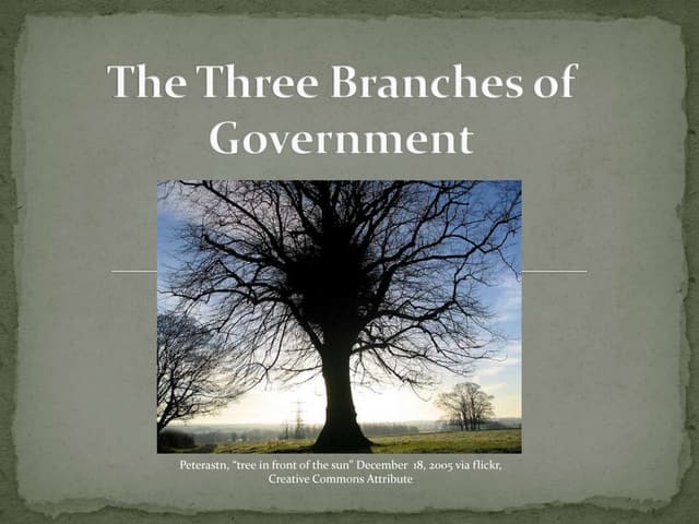 The Three Branches Of Government Power Point