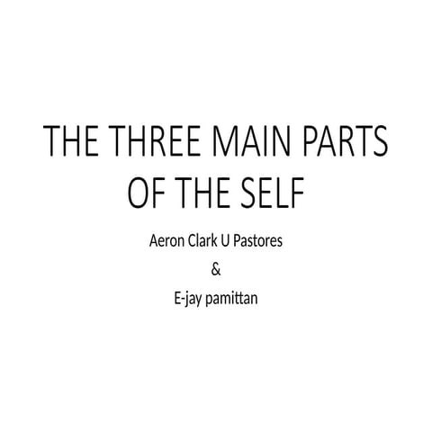 THE THREE MAIN PARTS OF THE SELF-WPS Office.pptx