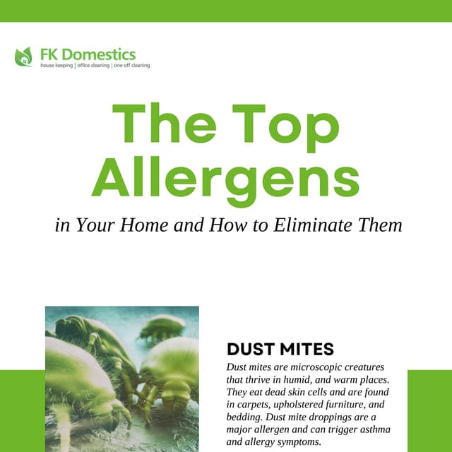 The Top Allergens in Your Home and How to Eliminate Them