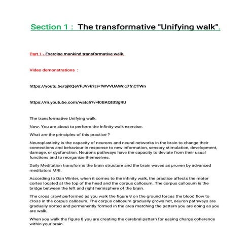 The transformative unifying walk protocol.pdf