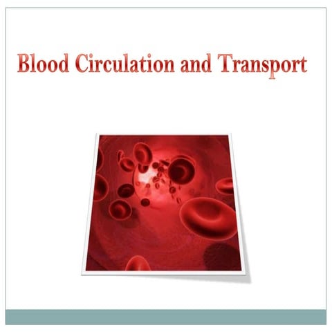 The transport system 1.1