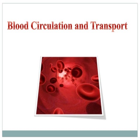 Lesson 3.1 The transport system