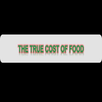 The true cost of food