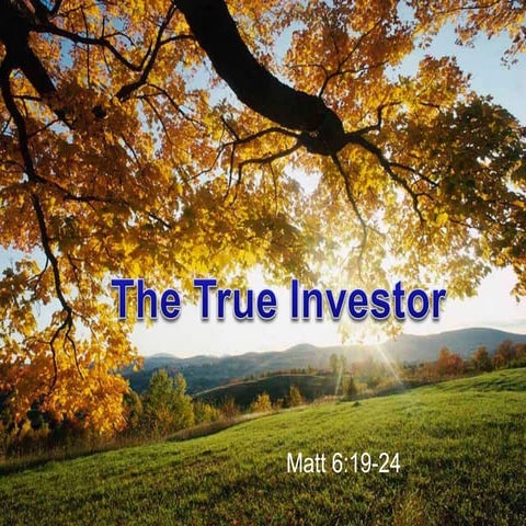 The True Investor