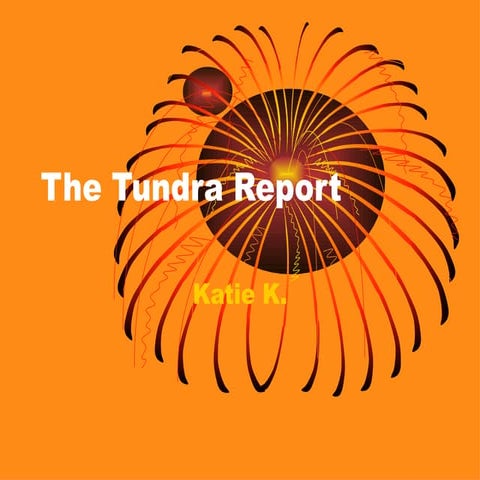 The Tundra Reportkemen