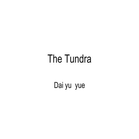 The Tundra Yue