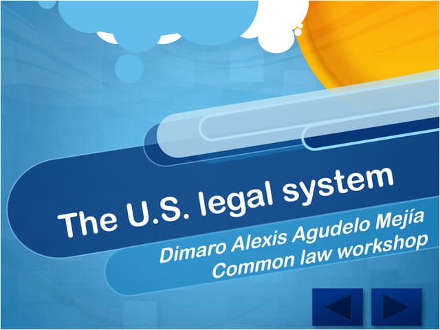 The u.s. legal system