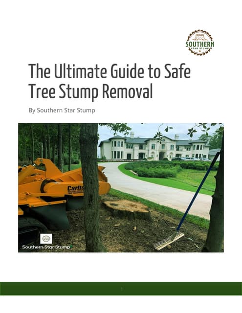 The Importance of Tree Surveys Before Tree Removal.pdf