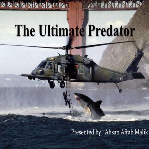 The Ultimate Preditor