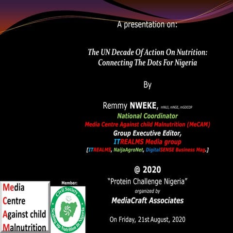 The UN Decade of Action on Nutrition: Connecting the Dots for Nigeria by Remm...