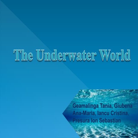 The Underwater World
