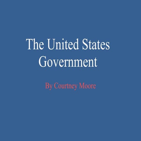 The United States  Government