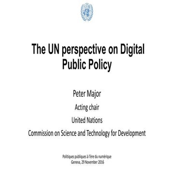 The UN perspective on Digital Public Policy