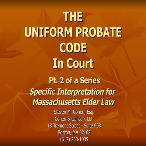 Understanding Guardianship Protecting Your Loved Ones.pdf