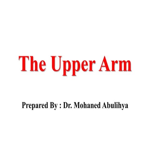 The upper arm