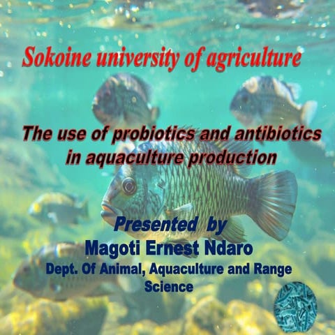 The use of probiotics and antibiotics in aquaculture production.pptx