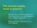 The vaccine supply chain in pictures