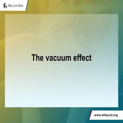 The vacuum effect