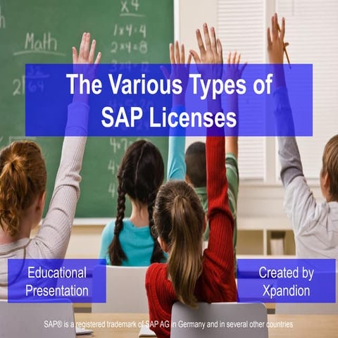 The Various Types of SAP Licenses