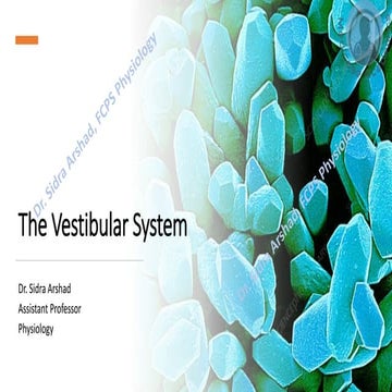 Balance and Equilibrium - The Vestibular System | PDF