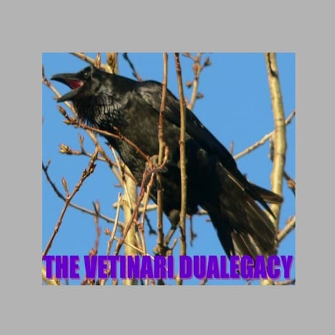 The Vetinari Dualegacy Chapter 12 25