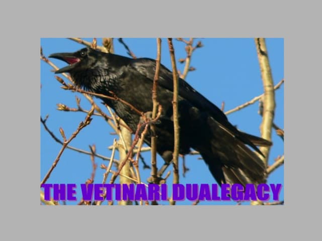 The Vetinari Dualegacy Chapter 12 75