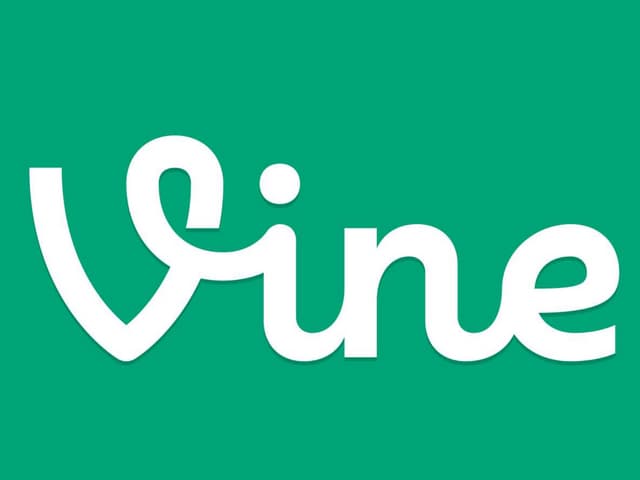 The vine