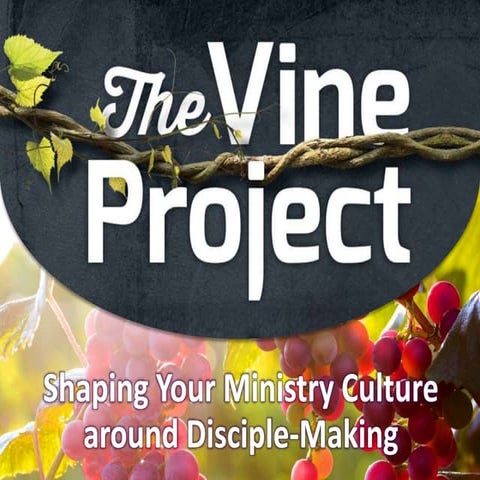 The Vine Project | PPTX