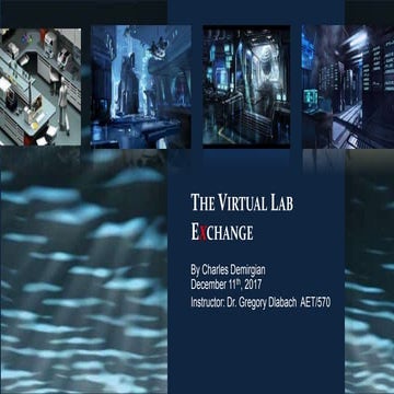 The virtual lab exchange presentation