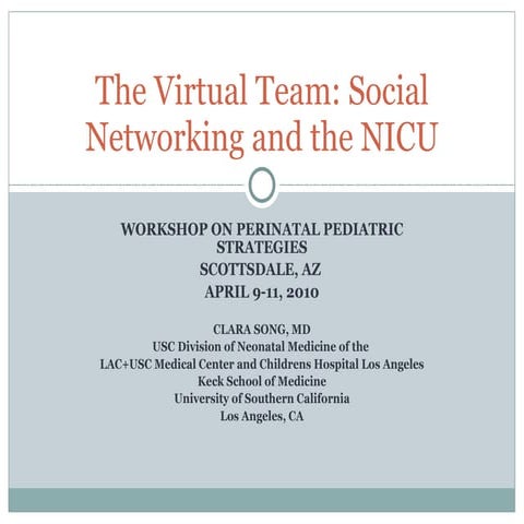 The virtual team 1