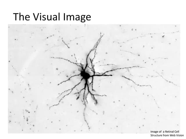 What are visual texts (1E3) | PPTX