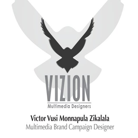 The ViZion Portfolio 2015 1/2