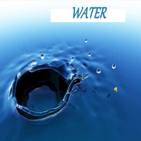 Thewater ppt-110721093553-phpapp01