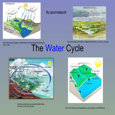 The Water Cycle-Jazzmatazz