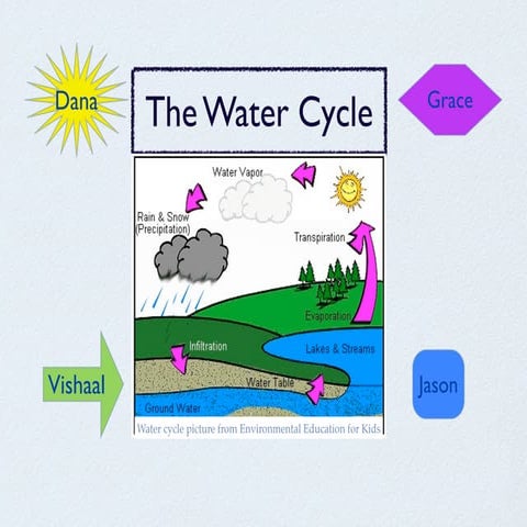 The water cycle