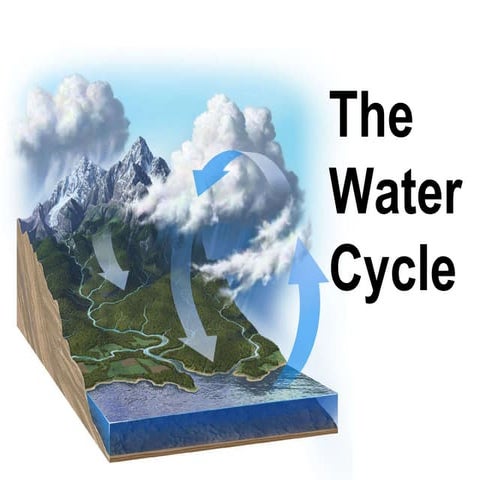 The water cycle