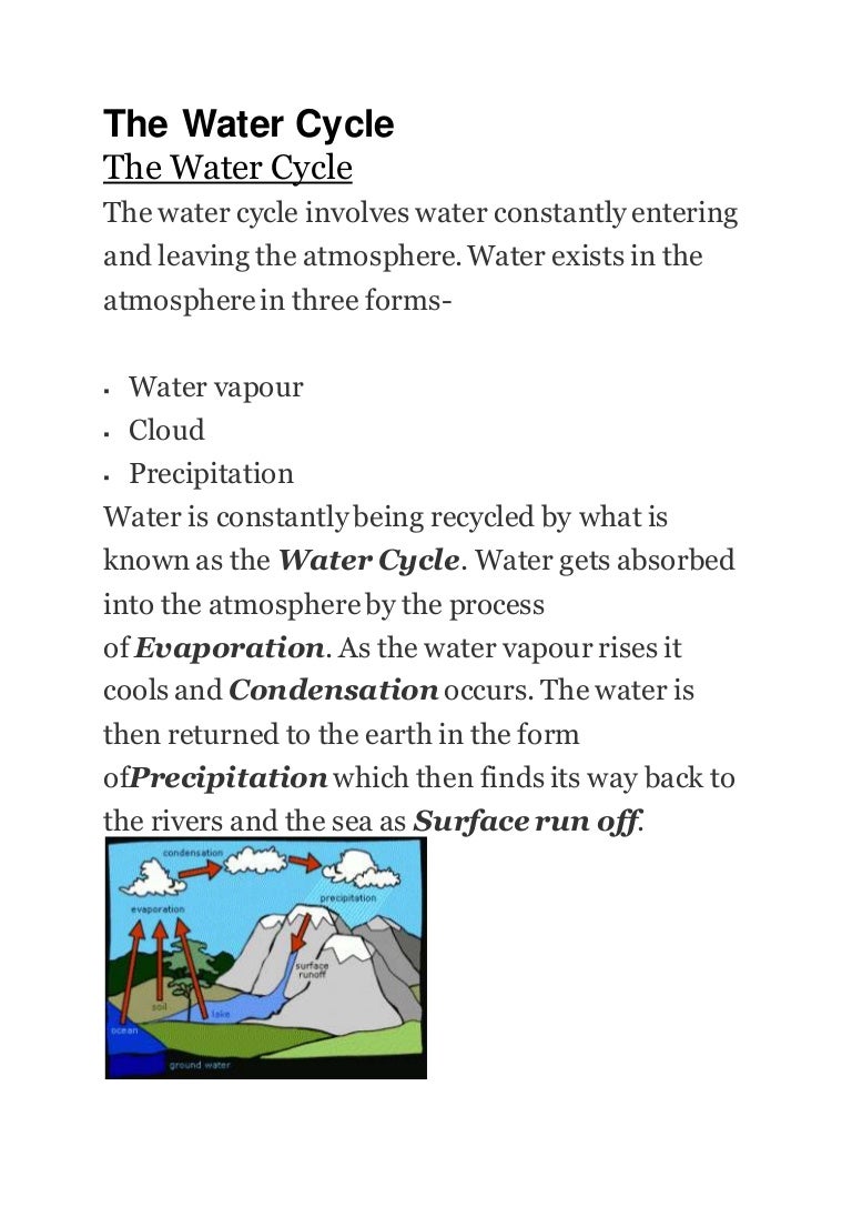 The Water Cycle